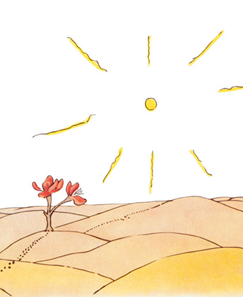 星の王子さま】ポケッタブルエコバッグ（NV）8732 | キャラクター